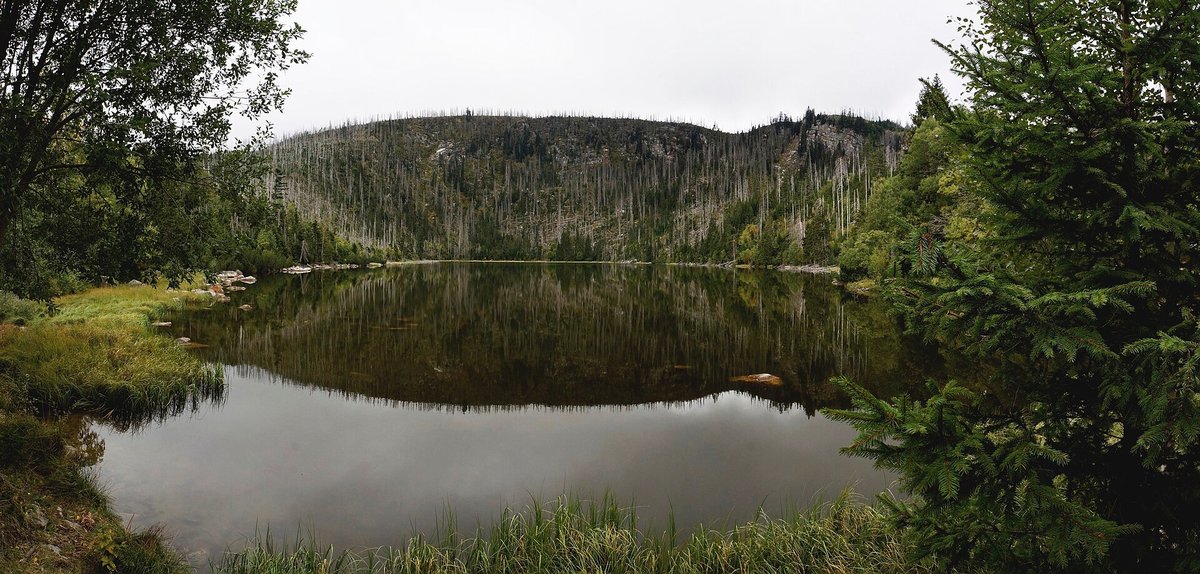 Plešné jezero na Šumavě